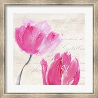 Framed Classic Tulips II