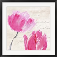 Framed Classic Tulips II