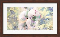 Framed Kaleidoscope Orchid