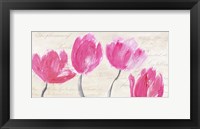 Framed Classic Tulips