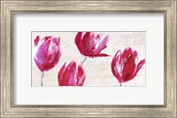Framed Crimson Tulips
