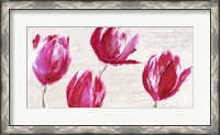 Framed Crimson Tulips