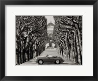 Framed Roadster in Tree Lined Road, Paris (BW)