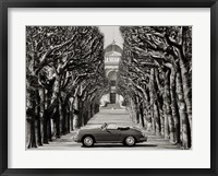 Framed Roadster in Tree Lined Road, Paris (BW)