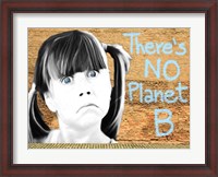 Framed No Planet B