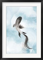 Framed Swimming Carp I