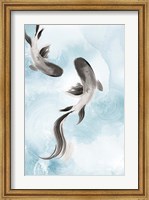 Framed Swimming Carp II