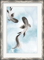 Framed Swimming Carp II