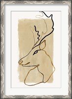 Framed Antlers II