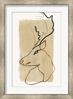 Framed Antlers II