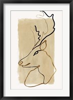 Framed Antlers II