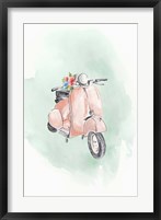 Framed Coral Bike