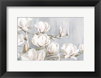 Framed White Magnolia