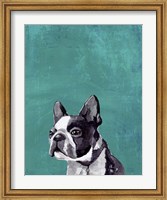Framed Frenchie Puppy
