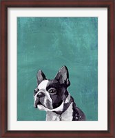 Framed Frenchie Puppy