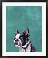 Framed Frenchie Puppy