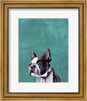 Framed Frenchie Puppy