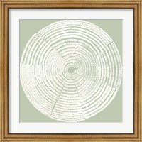 Framed Circles of Life I