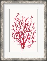 Framed Red Reef Coral I