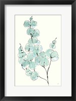 Framed Eucalyptus Branch III