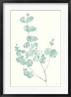 Framed Eucalyptus Branch I