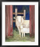Framed Farm Family Sheep