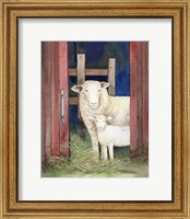 Framed 'Farm Family Sheep' border=