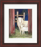 Framed Farm Family Sheep