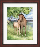 Framed Farm Family Horses