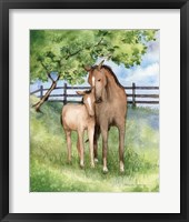 Framed Farm Family Horses