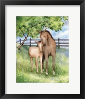 Framed 'Farm Family Horses' border=