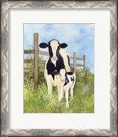 Framed Farm Family Cows