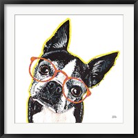 Framed Bespectacled Pet IV