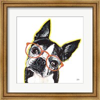 Framed Bespectacled Pet IV