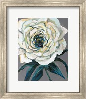 Framed Rose