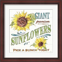 Framed Sunflower Fields IV