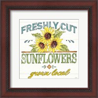 Framed Sunflower Fields III