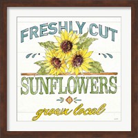 Framed 'Sunflower Fields III' border=