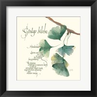 Framed Ginkgo Biloba