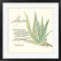 Framed Aloe Vera