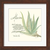 Framed Aloe Vera