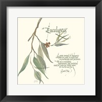 Framed Eucalyptus