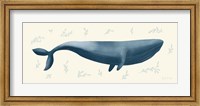 Framed Ocean Life Whale