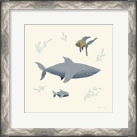 Framed Ocean Life Shark