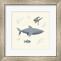 Framed 'Ocean Life Shark' border=
