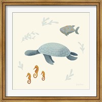 Framed Ocean Life Sea Turtle