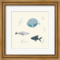 Framed 'Ocean Life Fish' border=