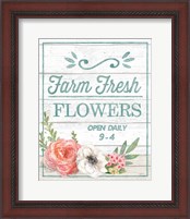 Framed 'Pastel Flower Market IV' border=
