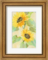 Framed Sunny Blooms