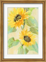 Framed Sunny Blooms